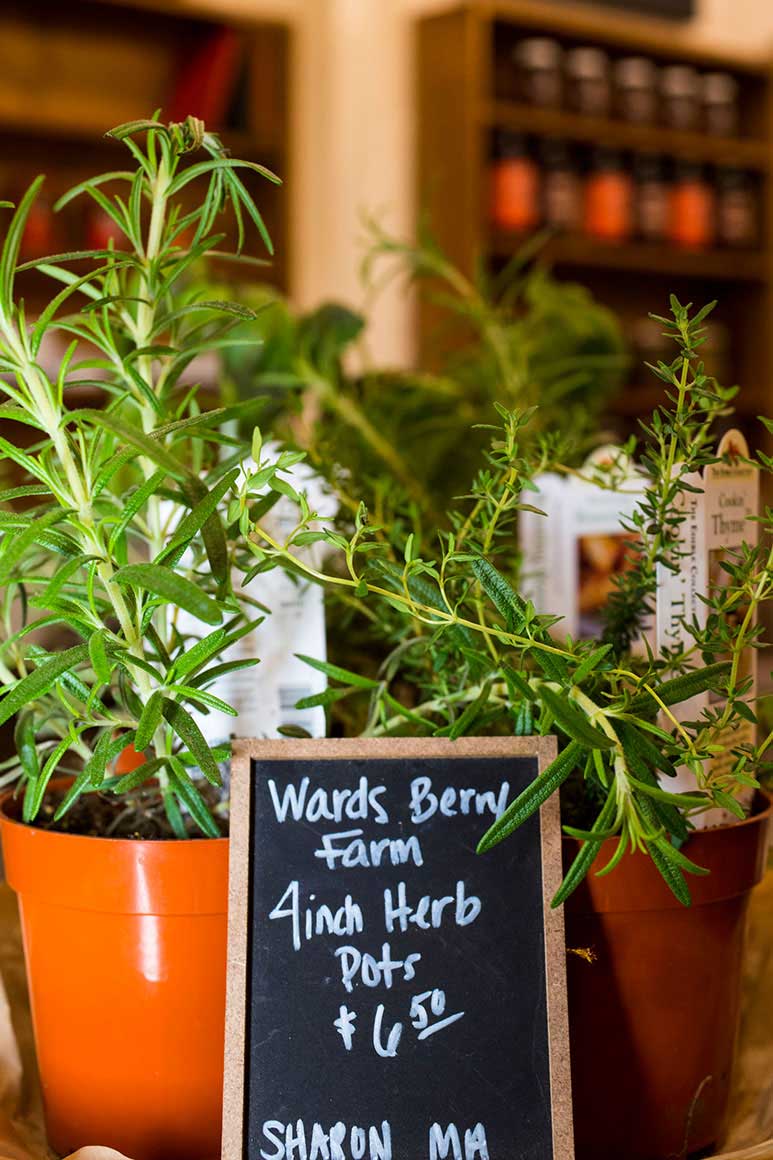 The Pantry at Avenue N | RI local pantry supplies local produce dairy meats